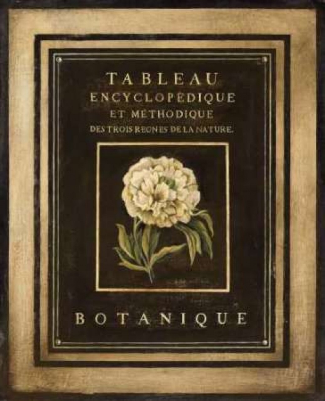 Les Fleurs de Paris II Poster Print by Kimberly Poloson - Item # VARPDXPOL135